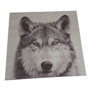 Gray Wolf plywood Art 12x12